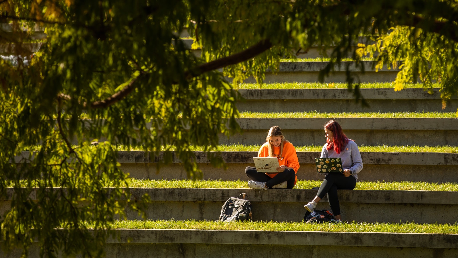 Two BAIP students sit outside on grassy steps studying with their laptops and backpacks